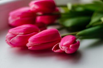 bouquet of tulips