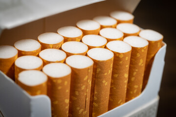 A macro photograph of the filter ends of an open pack of cigarettes. 