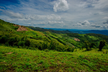 Fototapeta premium Natural background of the atmosphere in the garden house, surrounded by rice fields, plants, rice fields, reservoirs, and there is a seat to relax and watch the wind blowing through the cool blur.