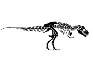 Tyrannosaurus Rex dinosaur skeleton silhouette in isolate on white background. Vector illustration.