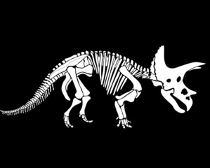  Triceratops dinosaur graphic skeleton on black  background, vector triceratops. © Inna
