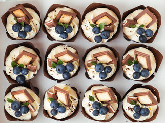 Set of chocolate cupcakes with whipped cream white top decorated with blueberries and chocolate cookies. Top view