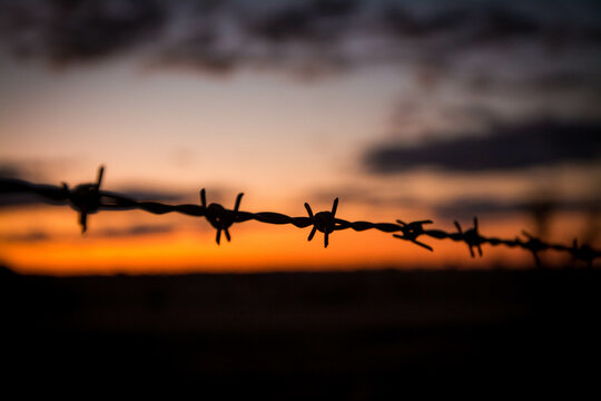 barbed wire fence at sunset
