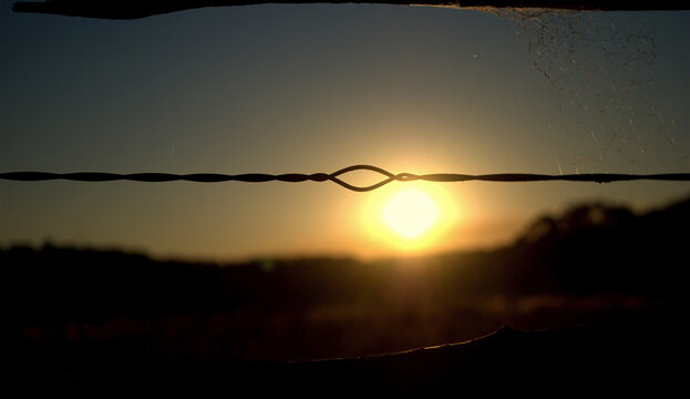 fence at sunset