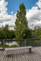 Bench to take a rest. Sunny September view from the park, Provinciaal Recreatiedomein De Schorre, Boom, Belgium