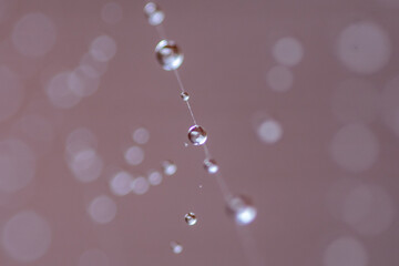 SPIDER WEB DROPLETS DEPTH 2