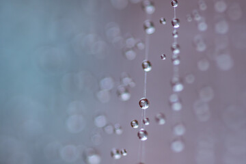 SPIDER WEB DROPLETS DEPTH