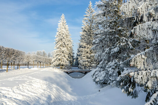 Catherine Park in winter, Pushkin (Tsarskoe Selo), Saint Petersburg, Russia