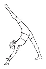 Vector illustration of a girl who does yoga