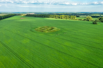 Aerial view of the green flower beds in the park in the form of circles, a labyrinth and other figures, drone shot. Natural summer spring background.