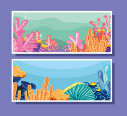Fototapeta na wymiar corals horizontal banners