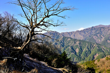 丹沢の大山北尾根　ミズヒノ頭から富士山を望む
丹沢　大山北尾根　ミズヒノ頭より富士山、手前中央から左へ二ノ塔、三ノ塔、烏尾山、行者岳（行者ヶ岳）
