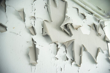 peeling wall paint