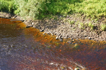экологическое северное лето архангельская область 