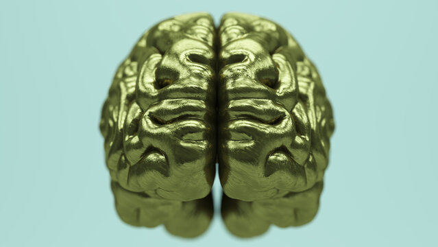 Brain Gold Bronze Front Old Brass Close Up Anatomy Mind Power Reflection DOF Depth Of Field 3d illustration render