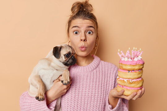 Impressed Suprised Young Woman Stares With Widely Opened Eyes Holds Pug Dog On Hands Poses With Festive Tasty Doughnuts Keeps Lips Folded Wears Knitted Sweater Isolated Over Brown Background