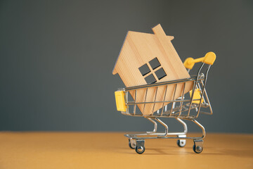 wooden house in a shopping trolley