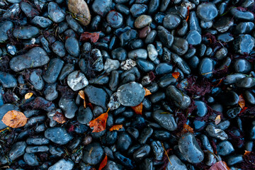 Black stones or rocks with a smooth rounded surface. Close up of pebbles on the sea shore.