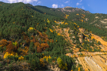 The Caucasus Mountains in North Ossetia. Landscape in the mountains and blue sky with clouds. A mountain slope with yellowish rock and yellowed trees in autumn.