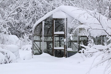 Old glass greenhouse in winter, after heavy snowfall