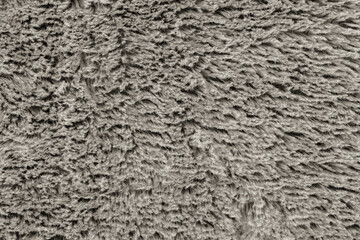 Thick fur - texture. Black and white background.