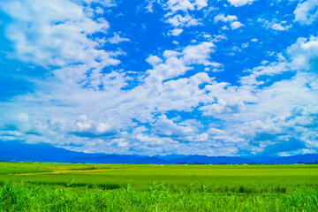 秋田県の田園風景