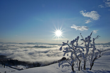 青空の下の雪に覆われた稜線の樹氷を纏った木。雲海の上に輝く太陽。冬の日本の北海道の美幌峠。
