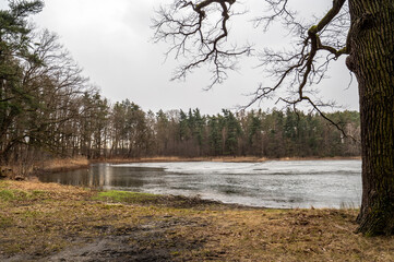 jezioro w lesie wczesną wiosną, częściowo zamarznięte i pod lodem - obrazy, fototapety, plakaty