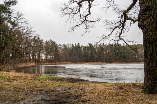 jezioro w lesie wczesną wiosną, częściowo zamarznięte i pod lodem