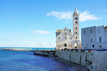 Fototapeta na wymiar Trani Cathedral with seascape, Trani, Apulia, Italy
