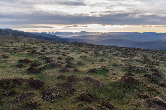 Grass moved in Abodi. Navarre Pyrenees