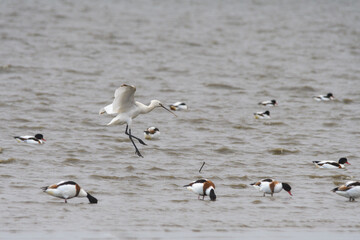 有明で栄養補給