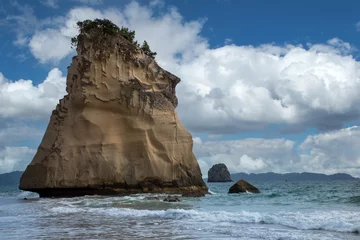 Fototapeten Cathedral Cove, Neuseeland © GERHARD