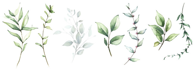 Watercolor greenery set of light green, turquoise, virid wild leaves, twigs and branches. Spring tender illustration.