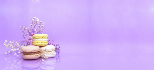 Macaroon with a gypsophila. Banner for valentine's day, wedding, anniversary, engagement, jewelry store. Beige French macaroni cookies isolated on handmade violet very peri background.