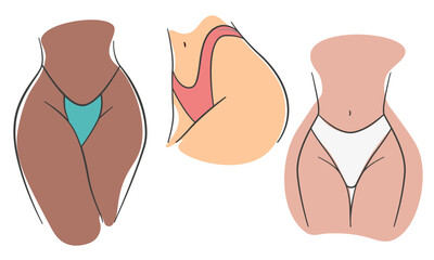 Set with woman body in pink and blue panties. Female lingerie vector illustration. Dark and light skin female body.