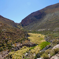 Green valley in desert rock landscape canyon in Atacama, with blue sky