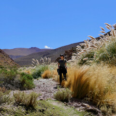 Hiking woman in Atacama desert mountain landscape with green pampas grass enjoying view