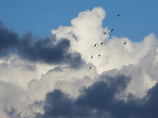 photos of aircraft