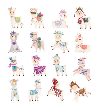 Collection of cute llama characters in boho style. Children's illustrations.