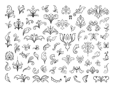 Set of detailed decorative patterns from plant leaves.