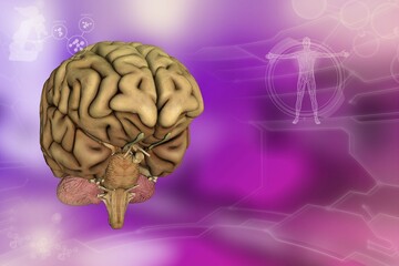 Human brain, nerve research concept - detailed electronic texture or background, medical 3D illustration