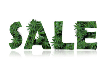 The English word is sale, stylized in a collage of photos of lupin leaves. A word with a mirror image isolated on a white background. Concept: graphic design, sale and bonuses.