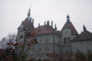 Shenborn French Counts Palace Karpaty Villge, Carpathian Region (Oblast)m Zakarpattia, Renaissance