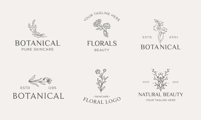 Set of Botanical Floral element Hand Drawn Logo with Wild Flower and Leaves. Logo for spa and beauty salon, boutique, organic shop, wedding, floral designer, interior, photography, cosmetic.
