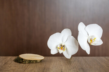Fototapeta na wymiar Empty natural wood podium with white blooming orchid on textured brown table. Place for advertising