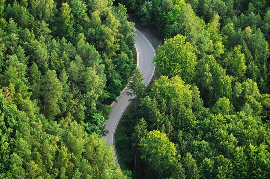 An ariel shot of a curvy narrow road in the middle of the forest surrounded by trees