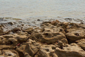 Stones on the coast of the Red sea in Egypt.