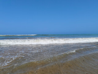 Dirty ocean water with lots of seaweed plants