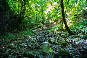 Obraz premium Zagreb, Croatia - June 2021. Nature Park Canyon Devil's Passage